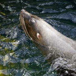 2022 04 09 bremerhaven zoo