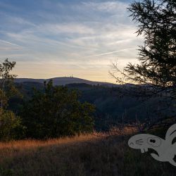 2022 06 25 abend steinbergskopf