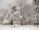 2023 11 28 winter wernigerode