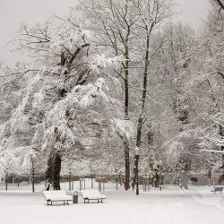 2023 11 28 winter wernigerode