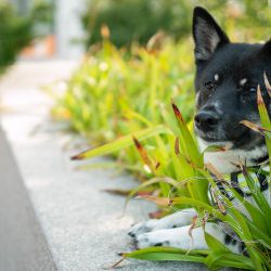 2023 07 09 joenkoeping