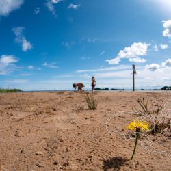 2023 07 19 vita sandar