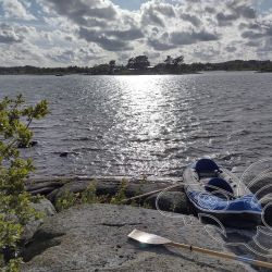 2023 07 19 urlaub schweden zausel handy 2023 07 19 urlaub schweden zausel handy