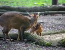 2021 05 30 zoo aschersleben