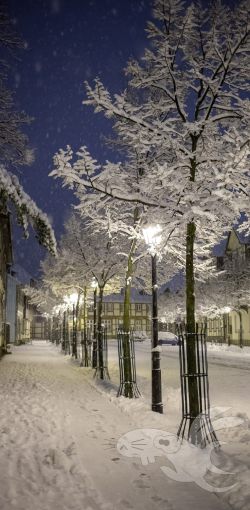 2021 01 03 wernigerode nacht