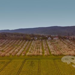 2021 05 01 copter wernigerode und gruener see