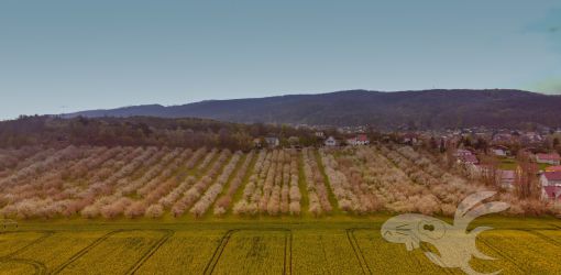 2021 05 01 copter wernigerode und gruener see